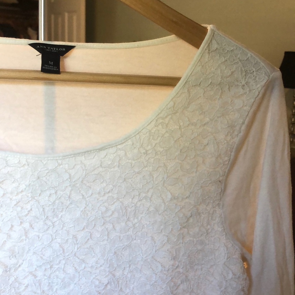 lace ann taylor top